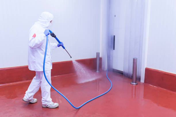 Best Restaurant Pressure Washing  in Mount Plymouth, FL