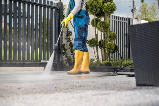 Best Patio and Deck Pressure Washing  in Mount Plymouth, FL