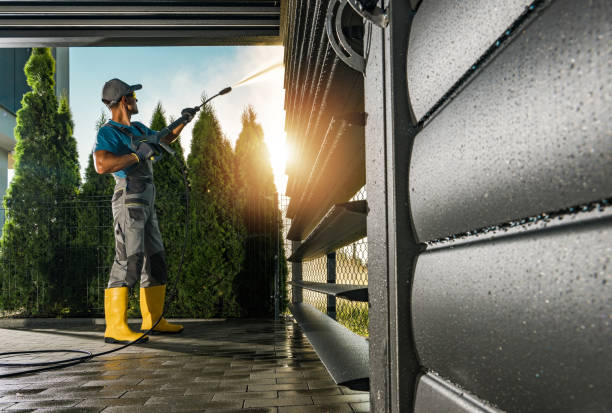Best Driveway Pressure Washing  in Mount Plymouth, FL