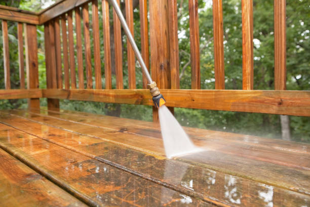 Best Building Exterior Washing  in Mount Plymouth, FL