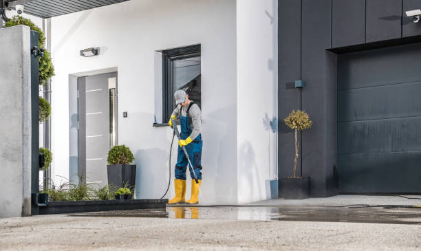 Best Soft Washing  in Mount Plymouth, FL